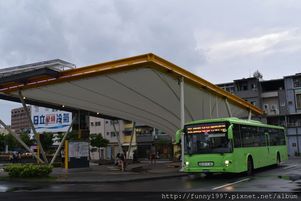 高雄 城市中的綠洲 大東濕地公園賞花 賞蝶 賞鳥 賞魚 親子同遊 搭捷運橘線輕鬆到達 微笑的眼