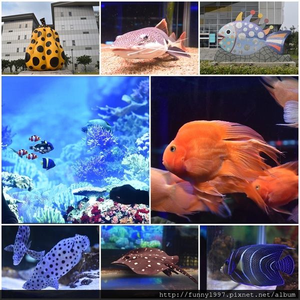 屏東農業生物科技園區 亞太水族中心 國際級水族展示廳 展示上百種珍奇魚 蝦 還能看見草間彌生大師的作品 微笑的眼