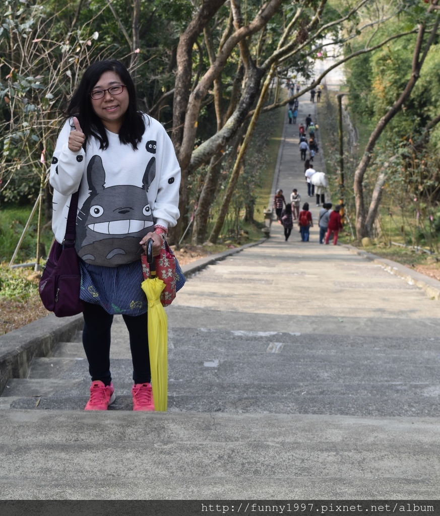 DSC_0409.JPG DSC_0409.JPG