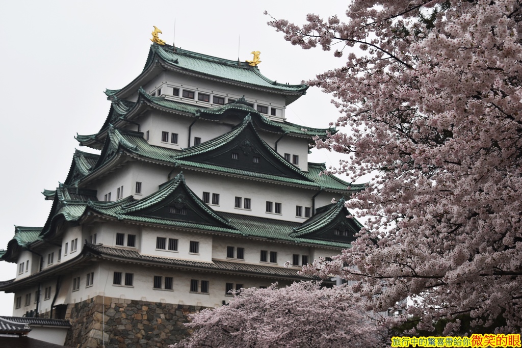 日本 名古屋城 日本必訪三大名城之一 春櫻爛漫無極限 微笑的眼