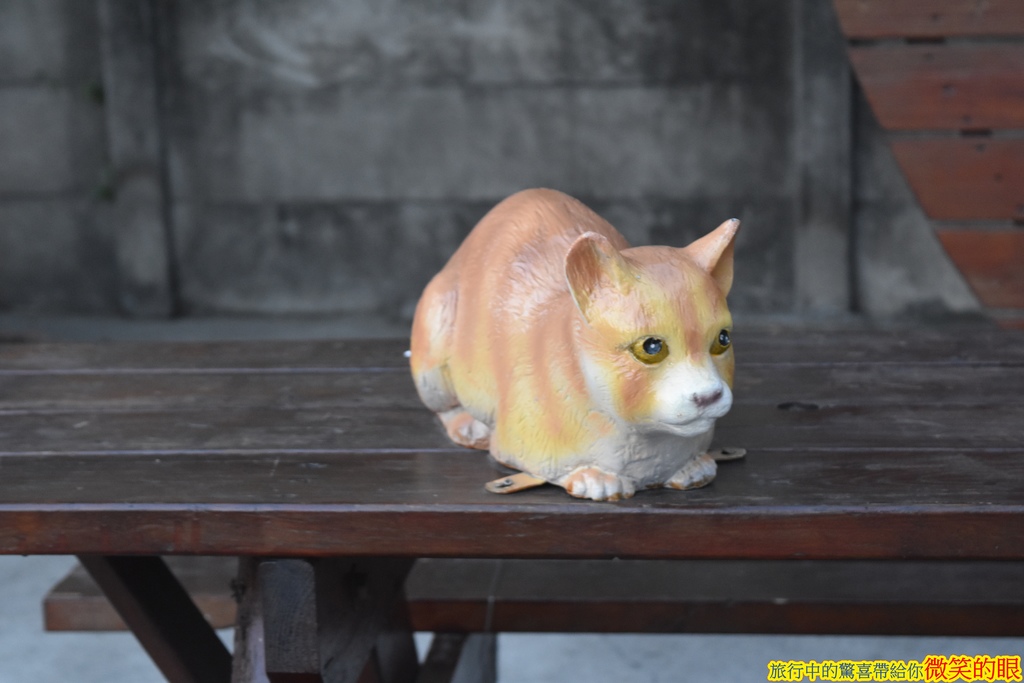 DSC_0602.JPG DSC_0602.JPG
